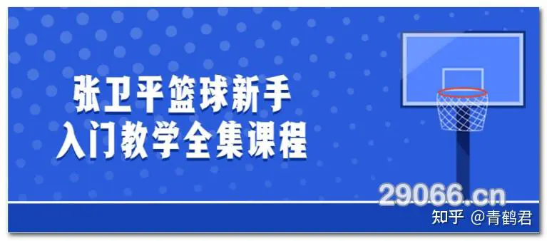 篮球训练视频教学软件下载大全免费